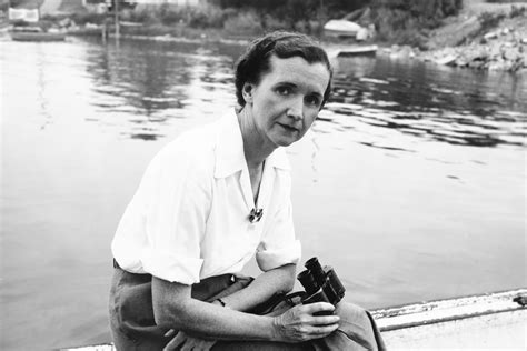 Rachel Carson Rachel Carson And The Visionary Women Who Worked To