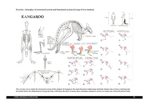 PARALLEL PARK | CEPT - Portfolio