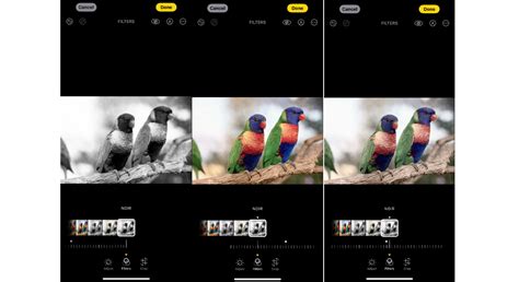 Filters for iPhone Camera - Filters for Optimizing Your Camera Shots