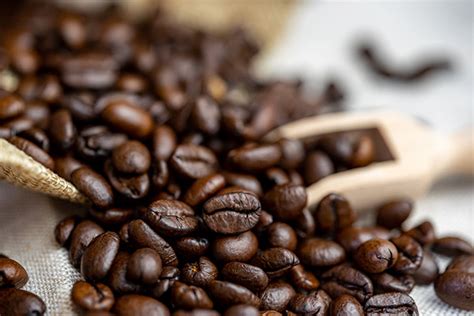 你知道咖啡的起源吗？ - 咖啡百科