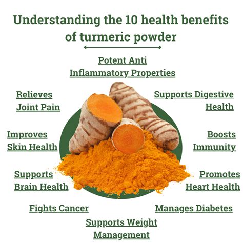The Herbal Powder Guide for Your Journey to Natural Wellness | by Cudiqherbal | Medium