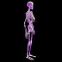 Image result for Skeleton GIF