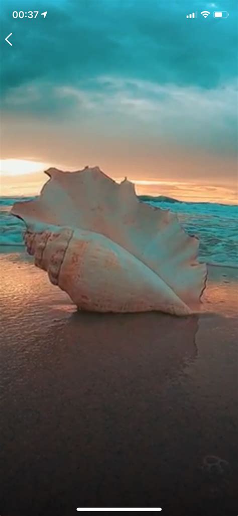 The social+gamification network - Jump in. Gamify your life: CHALLENGE ...