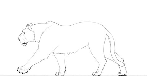 Tiger Walk Cycle Tutorial 的图像结果