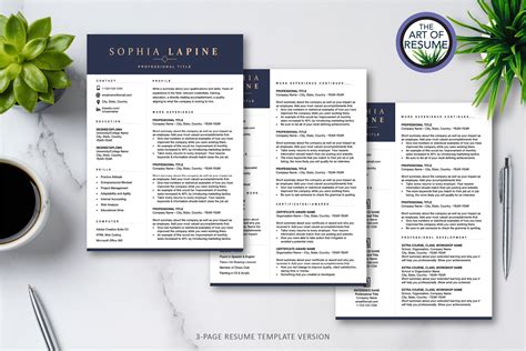 Executive Resume CV Template Bundle – MasterBundles