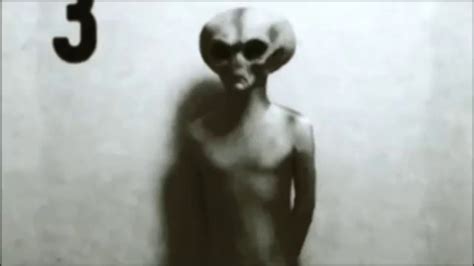 Image result for Alien Encounters Real Footage