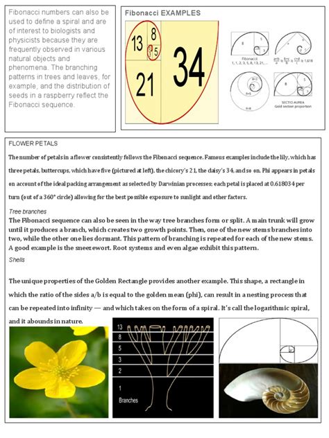 Image result for Rules of Using Fibonacci