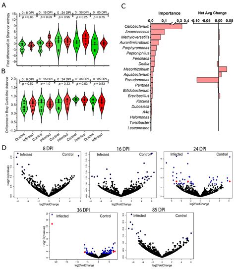 Avian Malaria Parasites Modulate Gut Microbiome Assembly in Canaries