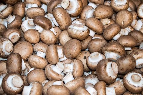 Baby Bella Mushrooms – Ozark Valley Market