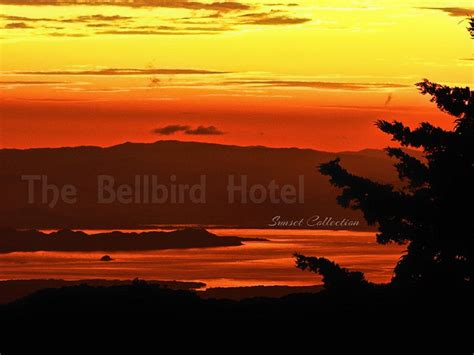 HOTEL BELL BIRD (Monteverde) - Hostel Reviews, Photos, Rate Comparison ...