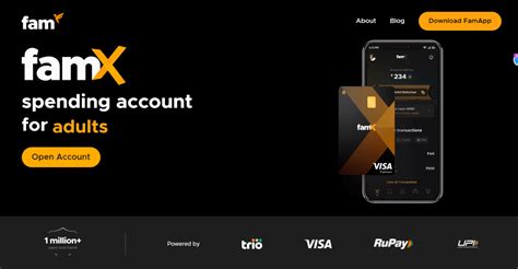 Image result for Fampay Debit Card