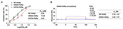 Identification of Potent Zika Virus NS5 RNA-Dependent RNA Polymerase ...