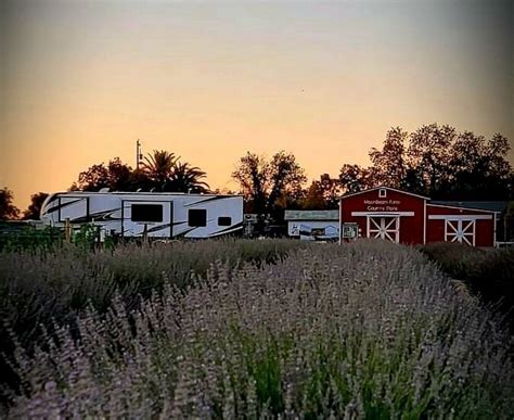 MOONBEAM FARM Guide (2026) All You Need to Know BEFORE You Go (with Photos)