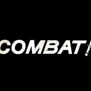 Image result for combat