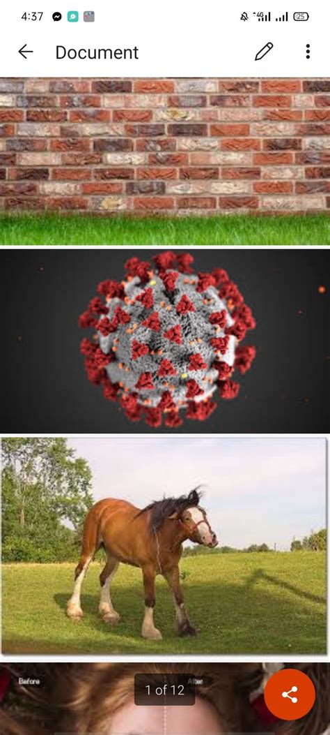 Image result for Convert Multiple Images into Single PDF File