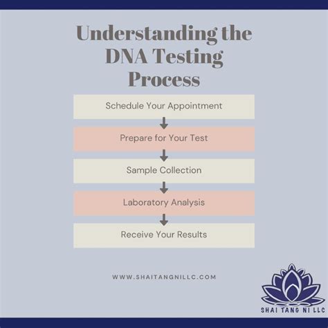 Image result for How DNA Testing Works