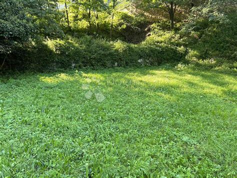 DRENOVA GRAĐEVINSKO ZEMLJIŠTE., građevinsko zemljište, površina 1.007m2