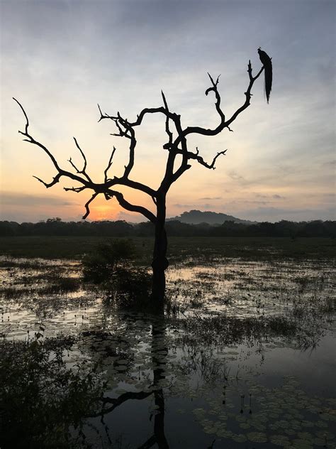 GEM RIVER EDGE - ECO HOME AND SAFARI (Kataragama) - Lodge Reviews ...