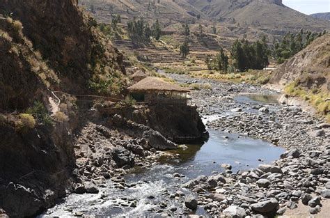 HOSPEDAJE ROLY (Yanque, Peru - Colca Canyon) - Specialty Inn Reviews ...