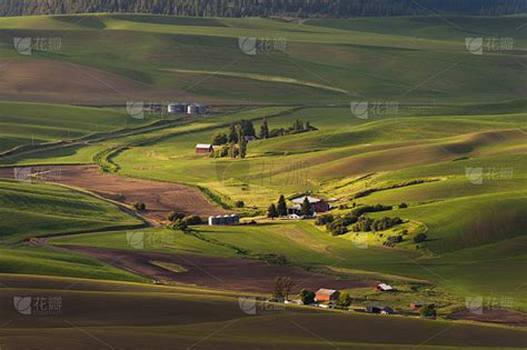 华盛顿州 帕卢斯 的图像结果
