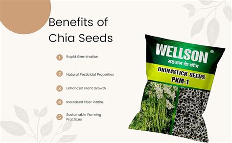 PKM1 Drumstick Seeds for Vegetable Plantation purpose 500gms MORE THAN ...