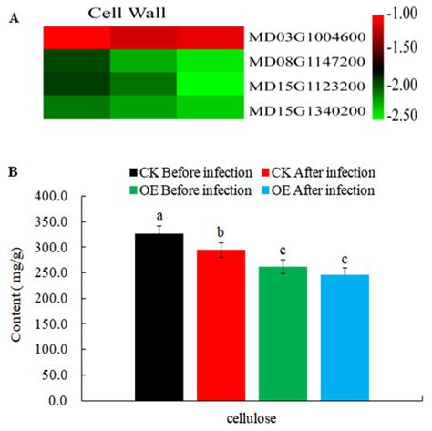 IJMS | Special Issue : Plant Disease Resistance