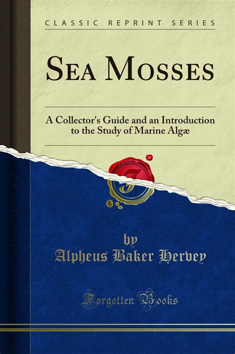 Buy Sea Mosses: A Collector's Guide and an Introduction to the Study of ...