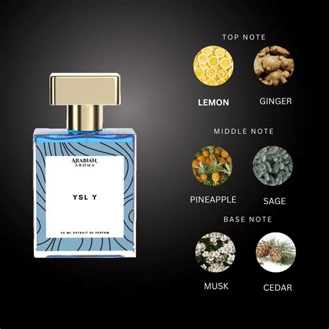 Aromatic Perfumes for Men & Women – Bold Scents | Arabian Aroma