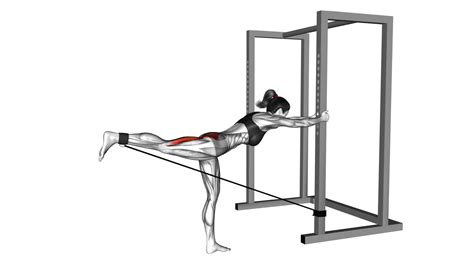 Band Bent-over Hip Extension (female) - Exercise Guide & Tips