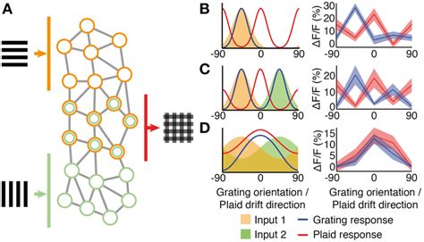 Image result for Complex Pattern Integration