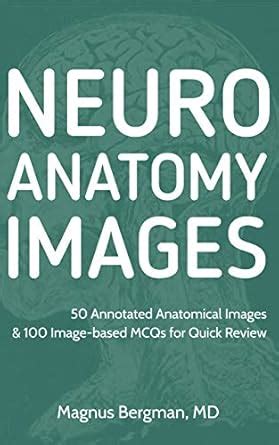 Neuroanatomy Images: 50 Annotated Anatomical Images & 100 Image-based ...
