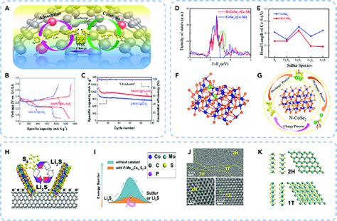 Image result for Science Project Abstract Sample