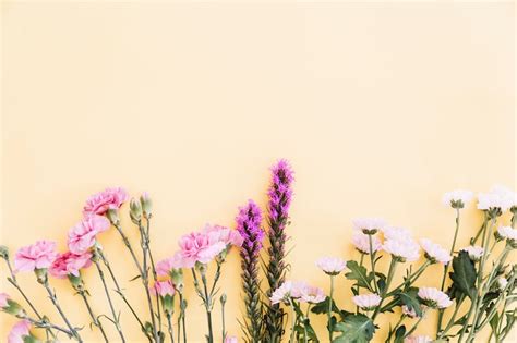 Blumenwiese wallpaper Bilder - Kostenloser Download auf Freepik