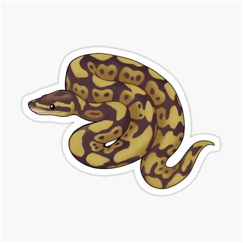 Image result for Red Bubble Ball Python Sticker