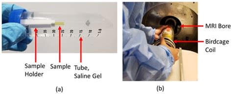 Silicon Carbide and MRI: Towards Developing a MRI Safe Neural Interface
