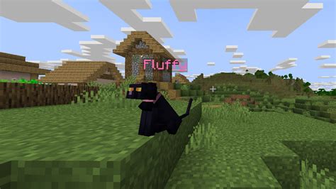 Image result for Cat Minecraft Mods