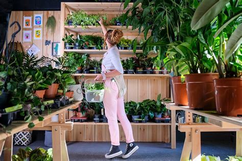 PLANT & PAINT (2026) All You Need to Know BEFORE You Go (with Photos ...