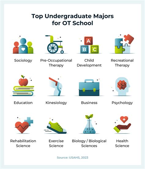 12 Best Undergraduate Degrees for Occupational Therapy