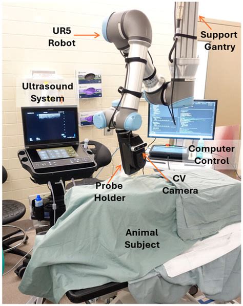 Real-Time Deployment of Ultrasound Image Interpretation AI Models for ...