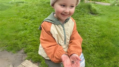 Brilliant Bugs, Hopetown Darlington, 21 August 2024 | AllEvents.in