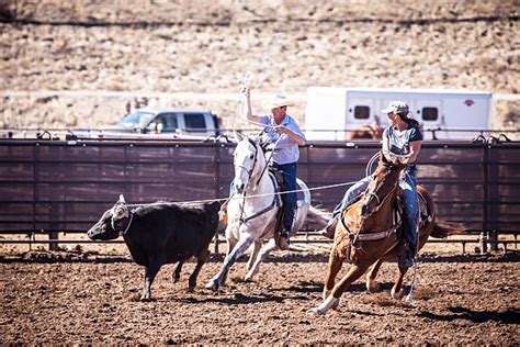 Image result for Girls Team Roping