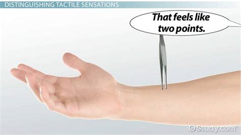 Image result for How Two Finger Test Is Done