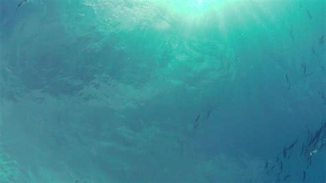 Image result for Bake On Mesh Tutorial