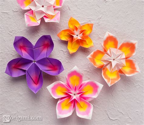 Image result for Modular Origami Flower
