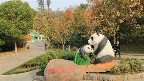 南京红山森林动物园攻略,南京红山森林动物园门票/攻略/地址/图片/门票价格【携程攻略】