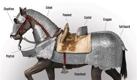 Roman Soldier Armor Diagram