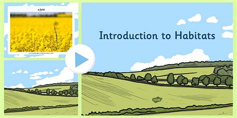 Introduction to Habitats PowerPoint | Science Resources