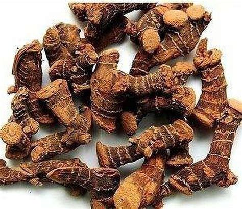 Saara HERBALFRESH Chitharathai Root | Kulanjan Root Seed Price in India ...