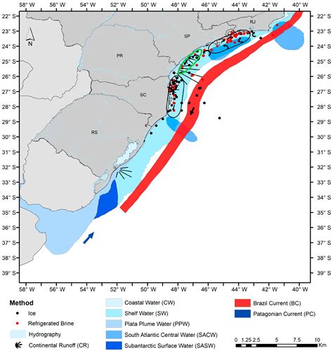 The History of the Brazilian Sardine (Sardinella brasiliensis) Between ...