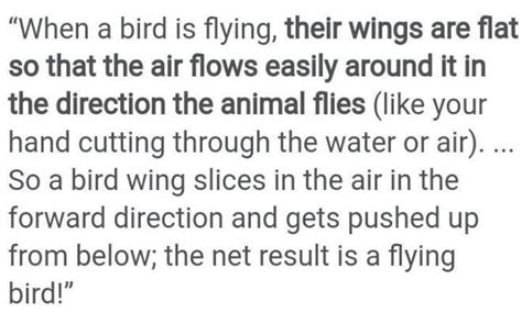 What are flying organs of birds? How do birds fly in the sky?answer in ...